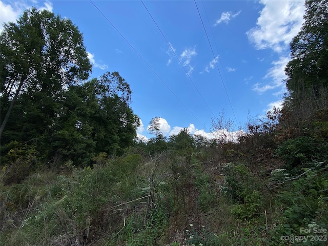 00000 Screech Owl Dr, Candler, NC 28715 - photo 13