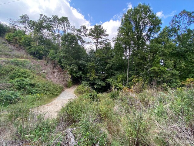 00000 Screech Owl Dr, Candler, NC 28715 - photo 14