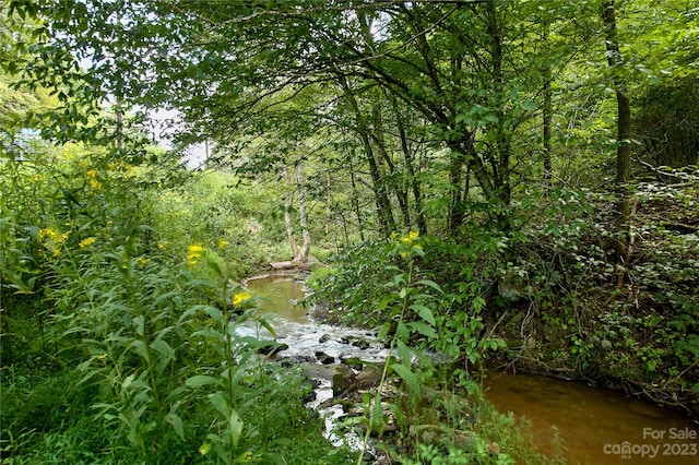 view of local wilderness with a water view