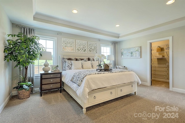 bedroom featuring a spacious closet, a raised ceiling, crown molding, a closet, and carpet