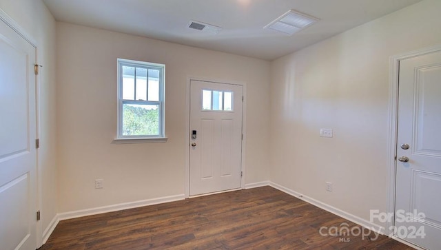 entryway featuring dark wood-type flooring