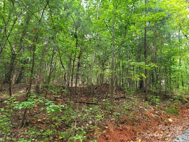 Listing photo 3 for 120 Rocky Mountain Rd, Casar NC 28020