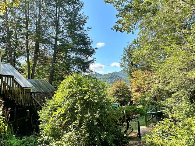 324 Buzzards Roost Rd, Cullowhee, NC 28723 - photo 5