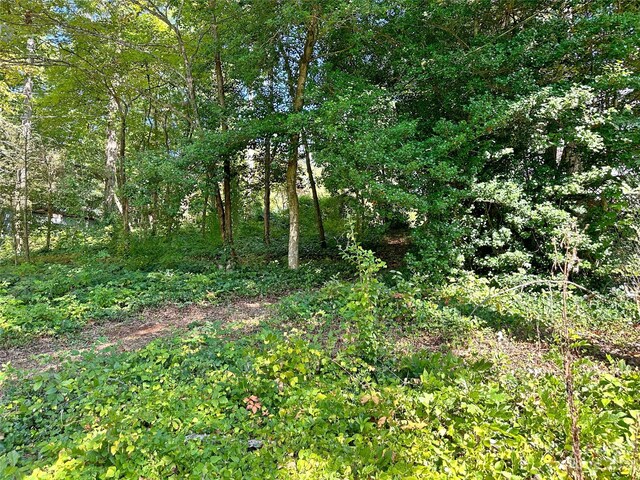 324 Buzzards Roost Rd, Cullowhee, NC 28723 - photo 7