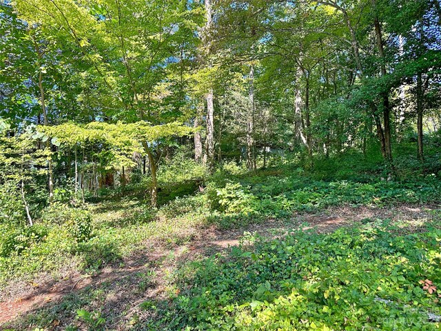 324 Buzzards Roost Rd, Cullowhee, NC 28723 - photo 8
