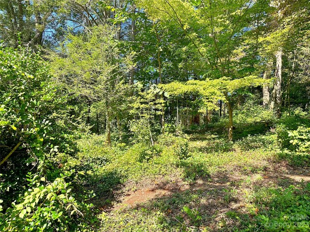 324 Buzzards Roost Rd, Cullowhee, NC 28723 - photo 9