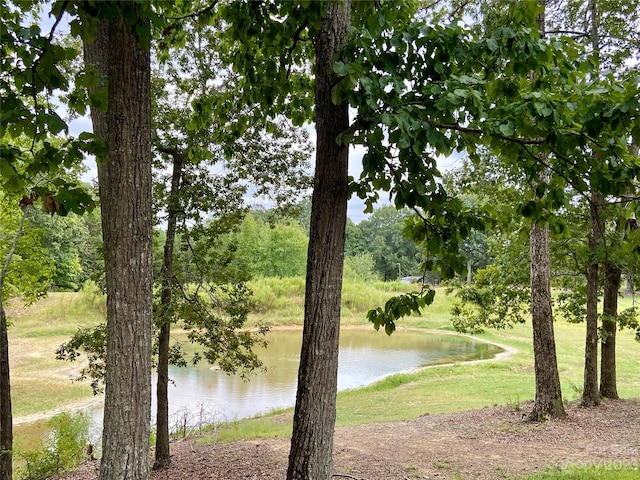 view of water feature