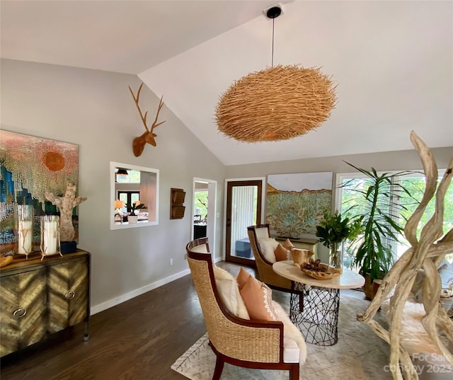 living area featuring high vaulted ceiling and dark wood-type flooring