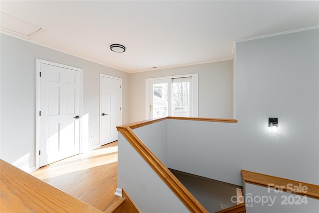 hallway featuring light hardwood / wood-style floors and ornamental molding