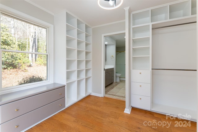 spacious closet with light hardwood / wood-style floors