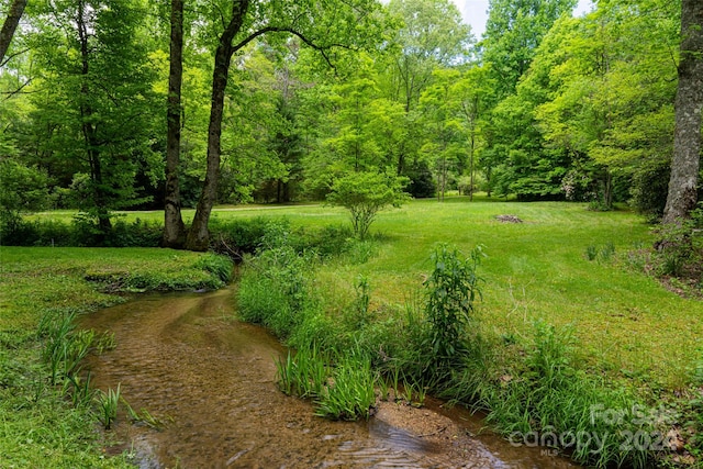 view of yard with a water view