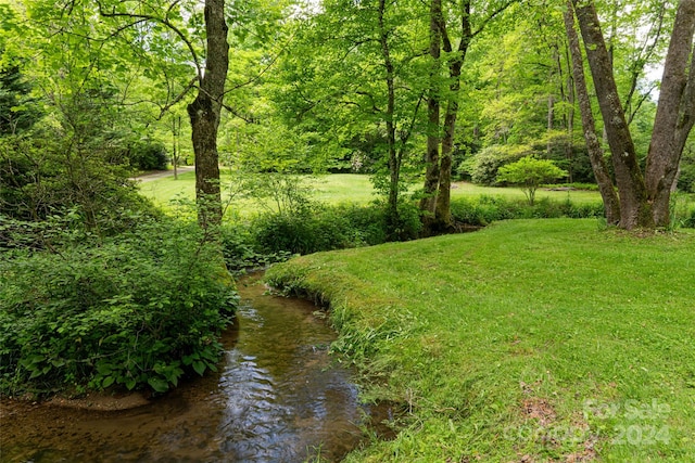 view of yard with a water view