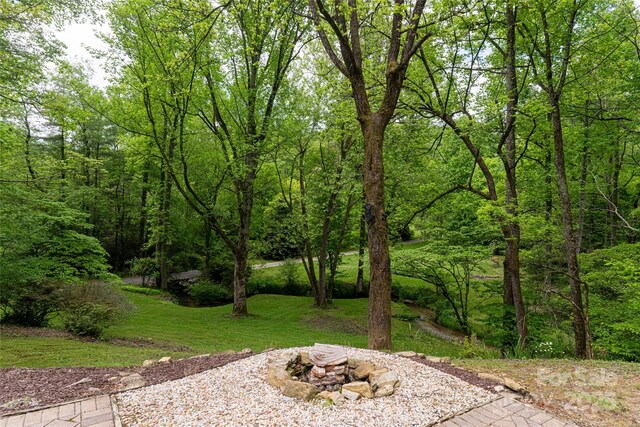 380 Old Powell Rd, Brevard, NC 28712 - view of yard with a view of trees and a fire pit