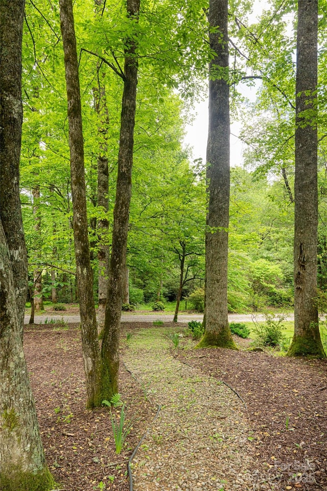 380 Old Powell Rd, Brevard, NC 28712 - exterior space