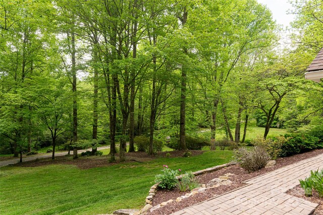 380 Old Powell Rd, Brevard, NC 28712 - view of home's community featuring a yard