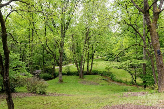 380 Old Powell Rd, Brevard, NC 28712 - view of yard featuring a wooded view