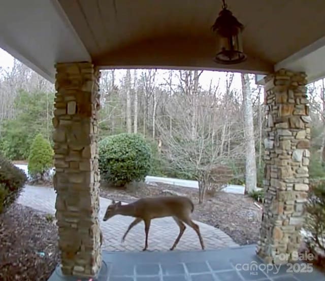 380 Old Powell Rd, Brevard, NC 28712 - view of patio
