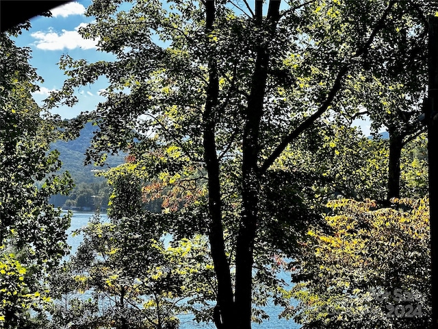 302 Ridge Rd, Lake Lure NC, 28746 land for sale