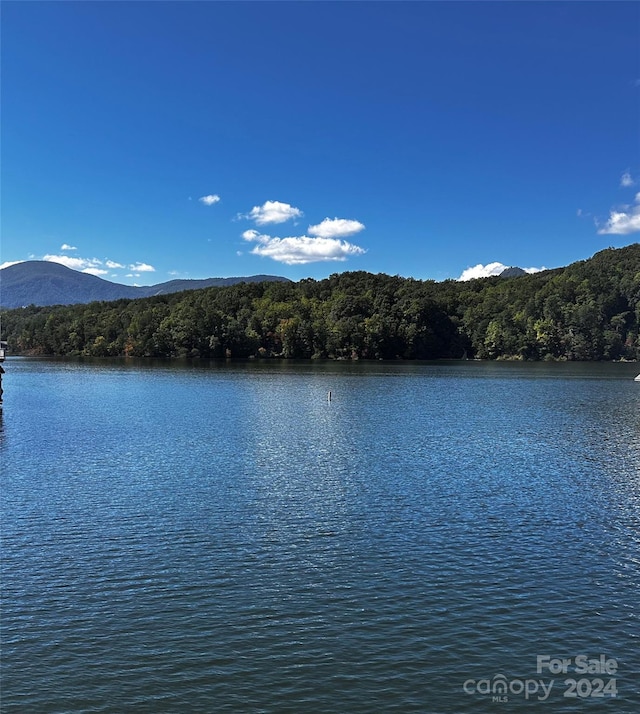 Listing photo 3 for 302 Ridge Rd, Lake Lure NC 28746