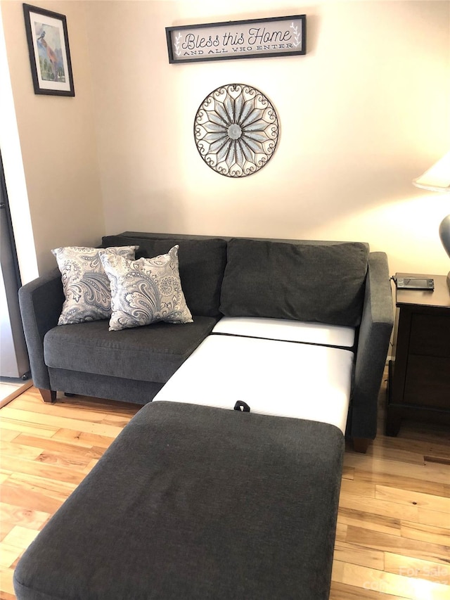 living room featuring light hardwood / wood-style floors