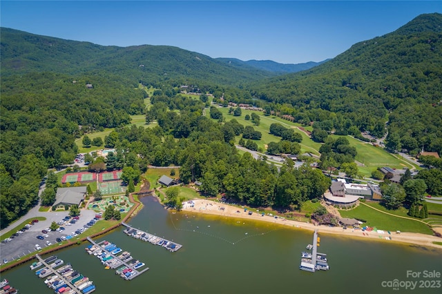 birds eye view of property featuring a water and mountain view