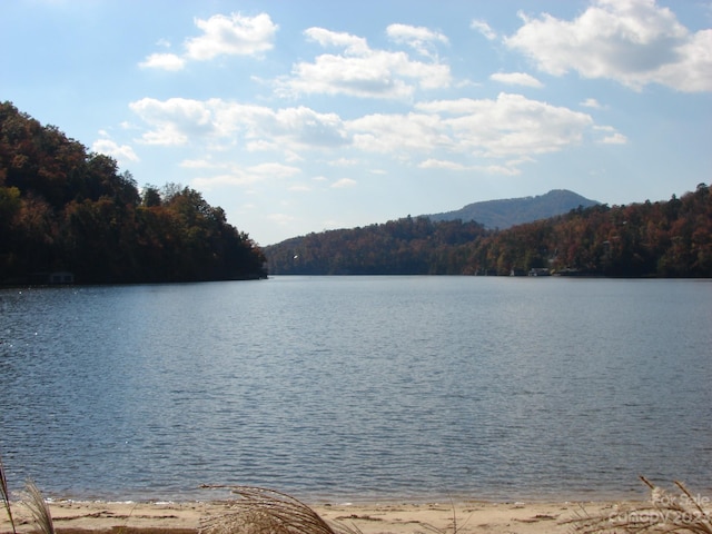 view of property view of water