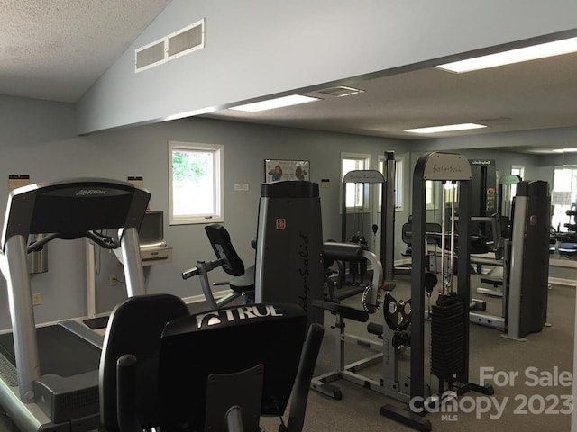 exercise room with lofted ceiling, carpet floors, and a textured ceiling