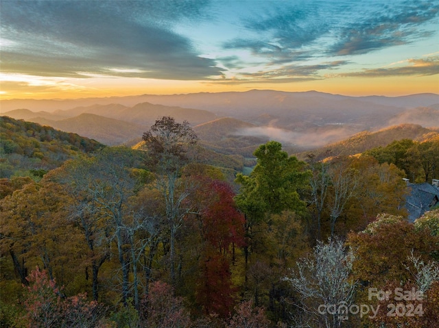616 Old Growth Forest Rd, Burnsville, NC 28714 - mountain view