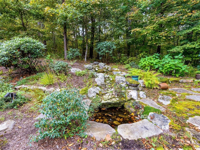 616 Old Growth Forest Rd, Burnsville, NC 28714 - view of yard