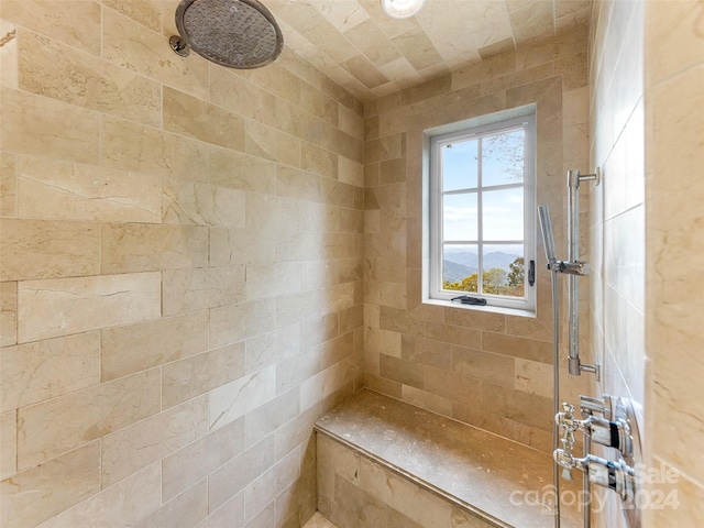 616 Old Growth Forest Rd, Burnsville, NC 28714 - full bathroom featuring a tile shower