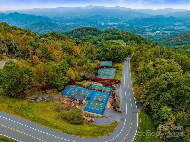 616 Old Growth Forest Rd, Burnsville, NC 28714 - bird's eye view with a view of trees and a mountain view