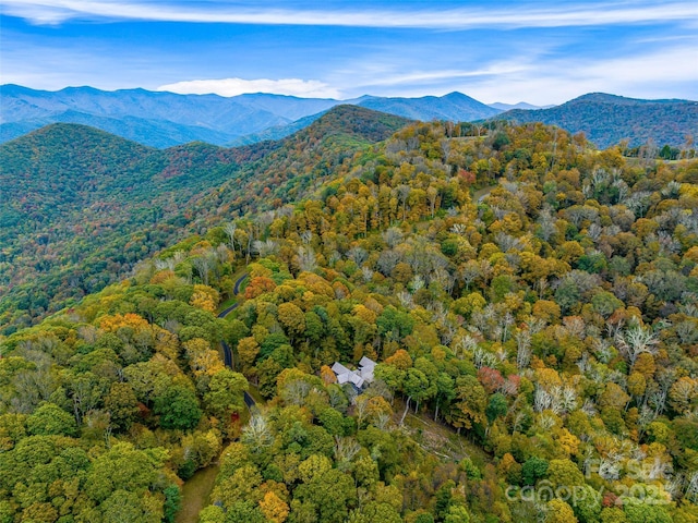 616 Old Growth Forest Rd, Burnsville, NC 28714 - photo 41