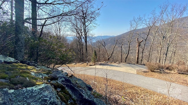 Listing photo 3 for 936 Acacia Ct, Black Mountain NC 28711