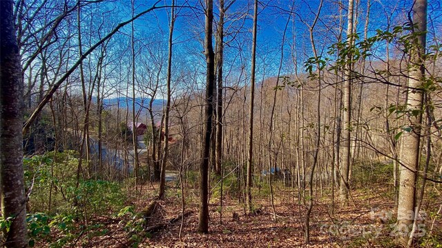 936 Acacia Ct, Black Mountain, NC 28711 - photo 1
