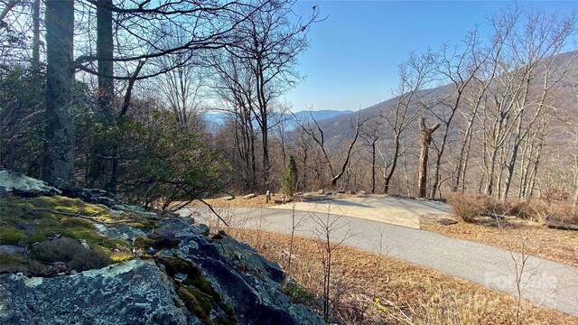 936 Acacia Ct, Black Mountain, NC 28711 - photo 4