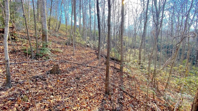 936 Acacia Ct, Black Mountain, NC 28711 - photo 5