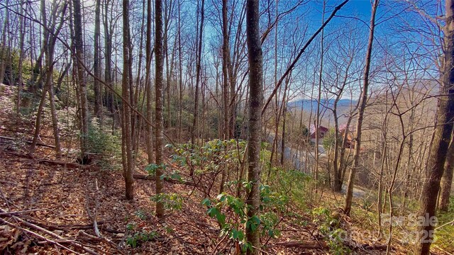 936 Acacia Ct, Black Mountain, NC 28711 - photo 6