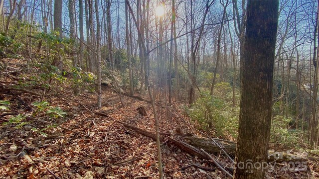 936 Acacia Ct, Black Mountain, NC 28711 - photo 7