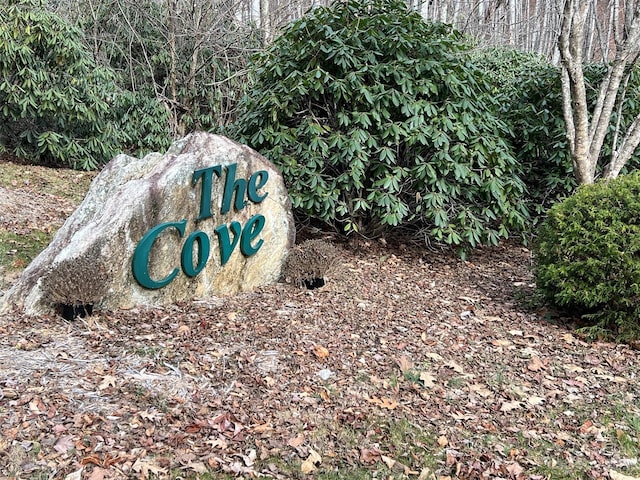 00 Evans Cove Rd, Maggie Valley NC, 28751 land for sale