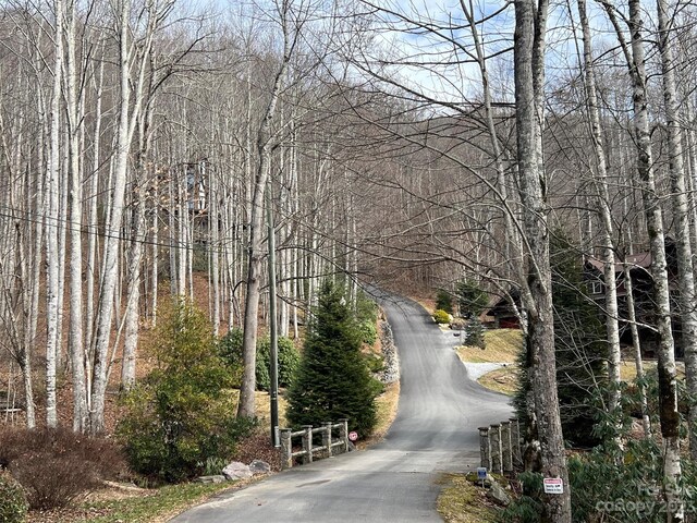 00 Evans Cove Rd, Maggie Valley, NC 28751 - photo 3