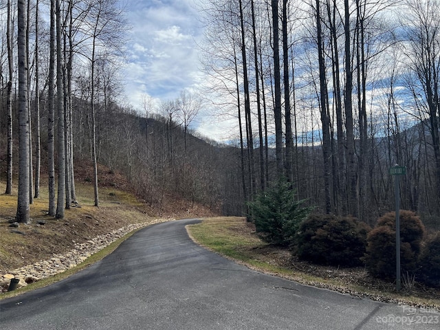 00 Evans Cove Rd, Maggie Valley, NC 28751 - photo 4