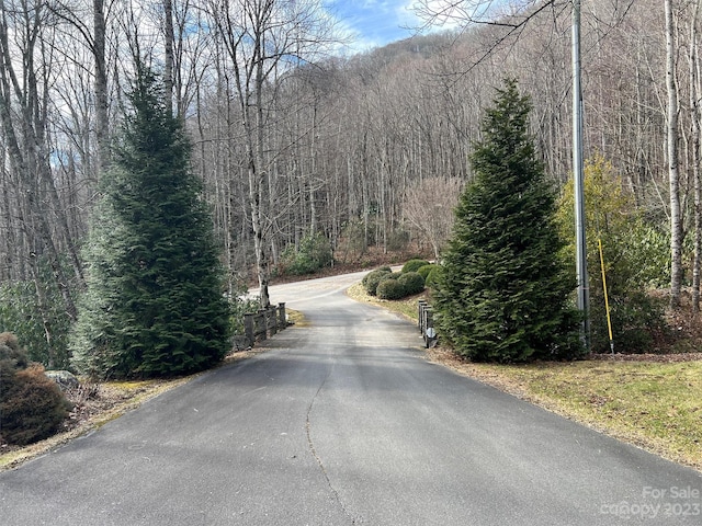 00 Evans Cove Rd, Maggie Valley, NC 28751 - photo 5