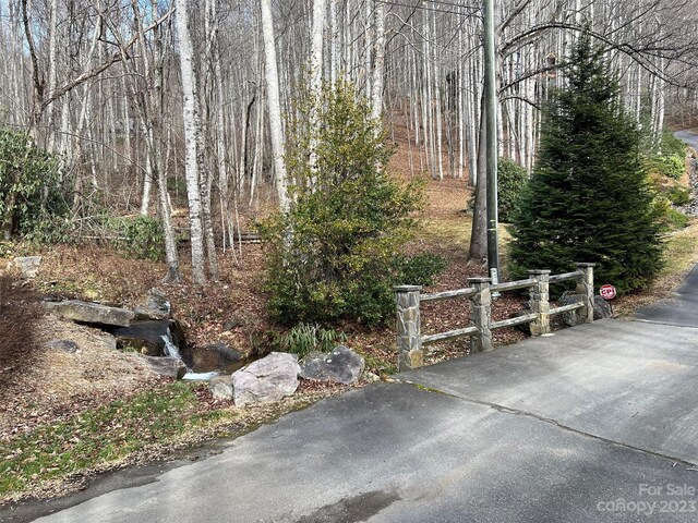 00 Evans Cove Rd, Maggie Valley, NC 28751 - photo 6