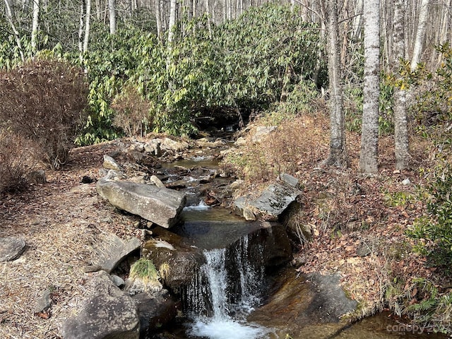 00 Evans Cove Rd, Maggie Valley, NC 28751 - photo 8