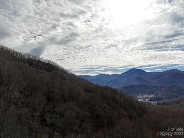 00 Evans Cove Rd, Maggie Valley, NC 28751 - photo 9