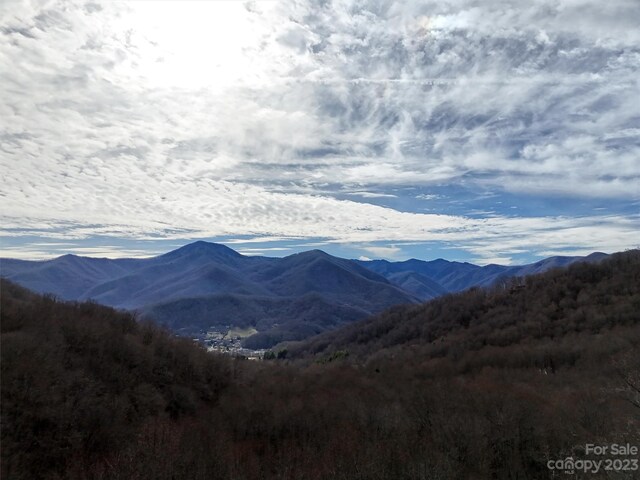 00 Evans Cove Rd, Maggie Valley, NC 28751 - photo 10