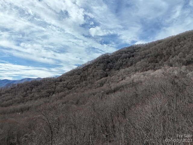00 Evans Cove Rd, Maggie Valley, NC 28751 - photo 11