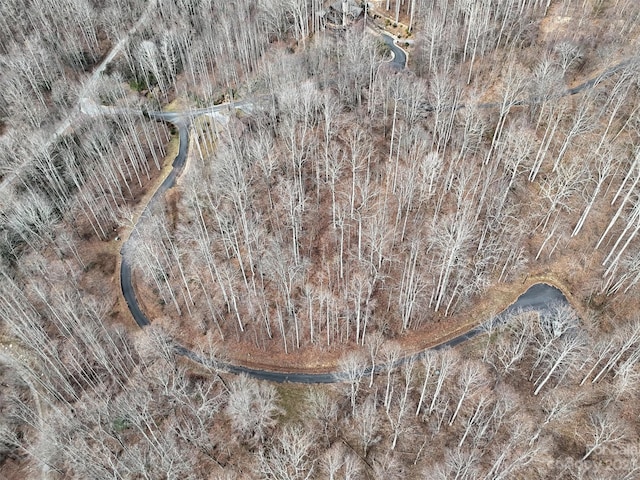 00 Evans Cove Rd, Maggie Valley, NC 28751 - photo 12