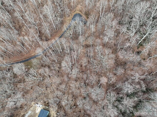 00 Evans Cove Rd, Maggie Valley, NC 28751 - photo 13