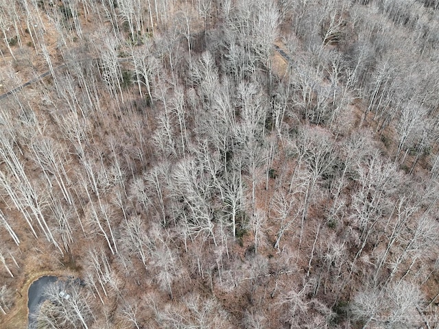 00 Evans Cove Rd, Maggie Valley, NC 28751 - photo 14
